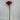Select Amaryllis Spray Red - Uncategorized Silk