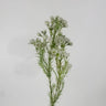 Supreme Wax Flower Spray White 32" - Uncategorized Silk
