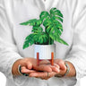 FreshCut Paper LLC Mini Monstera Pop-Up Greeting Card - Greeting Cards Merchandise