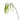 Winward Hanging Amaranthus Spray 31'' - Artificial Non-Flowering Plants Silk