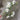 Supreme Dogwood Spray White 40" - Uncategorized Silk