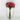 Le Fleur Rose Bundle Hot Pink 12" - Uncategorized Silk