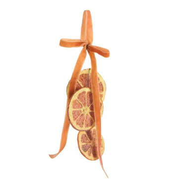 Iced Orange Slice Ornament by Raz, 5.5-inch hanging decoration with dried orange slices and orange ribbon