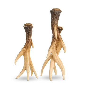 Raz Antler Candle Holders, two sizes (9.5–12 in), natural ivory antlers with brown textured tops