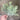 Le Fleur Frosted Dusty Miller Bush 10" - Silk