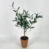 Melrose Olive Topiary in Pot - Silk