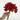 Le Fleur Rose Bundle Red 12" - Uncategorized Silk