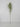 Supreme Wax Flower Spray White 32" - Uncategorized Silk