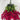 GSC Wisteria Hanging Bush Fuchsia (Beauty) - Artificial Flowering Plants Silk