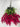 GSC Wisteria Hanging Bush Fuchsia (Beauty) - Artificial Flowering Plants Silk