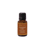 Cinnamon Cider Refresher Oil refill bottle by Aromatique, 0.5 fl oz (15 ml)