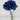 Allstate Anemone Bundle X6 Blue 12" - Uncategorized Silk