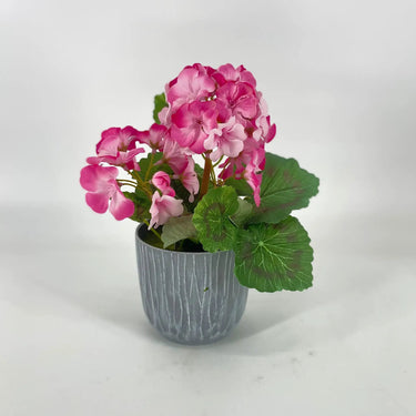 Direct Export Geranium in Pot Pink 10” - Silk