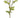 Select Ranunculus with Bud Spray Mustard 26" - Artificial Flowering Plants Silk