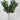 Select UV/FR Boxwood Bush w/ Flowers 12" - Artificial Non-Flowering Plants Silk