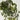 Le Fleur Ivy Hanging Bush Frost Green 28" - Uncategorized Silk