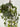 Le Fleur Ivy Hanging Bush Frost Green 28" - Uncategorized Silk