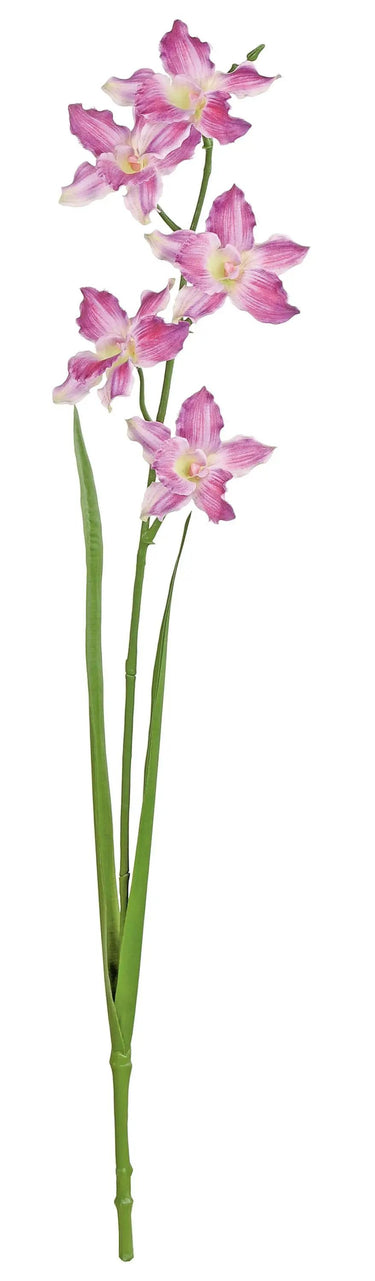 Select Cattleya Orchid Spray Beauty 28" - Uncategorized Silk