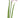 Select Cattleya Orchid Spray Pink 28" - Artificial Flowering Plants Silk