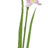 Select Cattleya Orchid Spray Pink 28" - Artificial Flowering Plants Silk