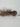 Allstate Feather Bird w/ Clip 6”L - Merchandise
