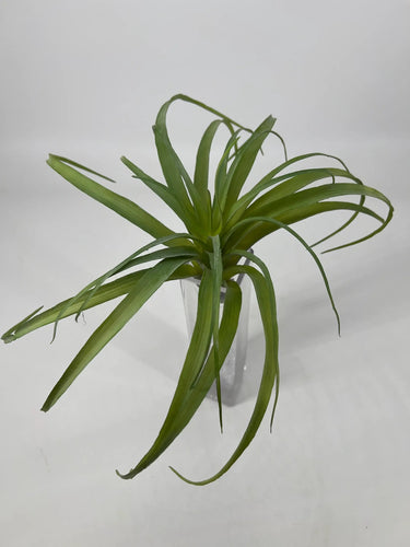 Supreme Air Grass Plant Green - Uncategorized Silk