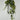 Le Fleur Ivy Hanging Bush Frost Green 28" - Uncategorized Silk
