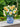 FreshCut Paper LLC Mini English Daffodils Pop-Up Greeting Card - Greeting Cards Merchandise