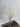 Le Fleur Asparagus Bush Cream 25" - Artificial Non-Flowering Plants Silk