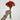 Le Fleur Rose Bundle Orange 12" - Uncategorized Silk
