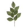 Melrose Sage Magnolia Leaf Spray 27.5"H - Artificial Non-Flowering Plants Silk