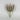 Select Finger Echeveria Dusty Burgundy 7" - Potted Houseplants Silk