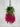 GSC Wisteria Hanging Bush Fuchsia (Beauty) - Artificial Flowering Plants Silk