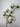 Supreme Dogwood Spray White 40" - Uncategorized Silk