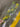 Direct Export Twig/Berry Branch Yellow 41" - Uncategorized Silk
