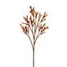 Winward Kangaroo Paw Spray Brown-Orange 30.5'' - Artificial Flowering Plants Silk