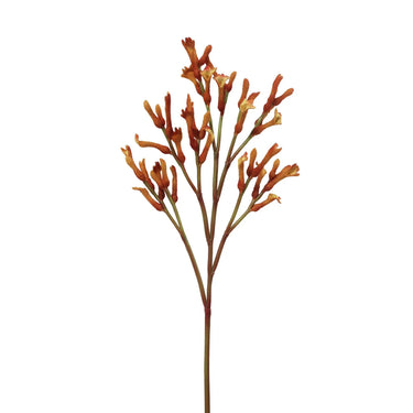 Winward Kangaroo Paw Spray Brown-Orange 30.5'' - Artificial Flowering Plants Silk