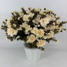 GSC Cream Mum - Potted w/ 2 Bushes - Artificial Flora Hanging Basket & Porch Pots