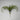 Supreme Air Grass Plant Green - Uncategorized Silk