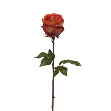 99808.OR