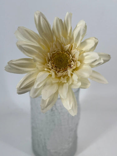 Select Daisy Cream Flower Stem - Artificial Flowering Plants Silk