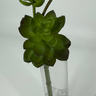 Supreme Succulent Stem 9" - Silk