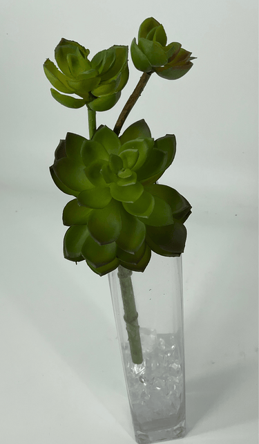 Supreme Succulent Stem 9" - Silk
