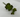 Supreme Succulent Stem 9" - Silk