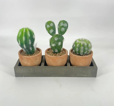 Supreme Cactus x3 w/Tray 8.5" GN - Silk