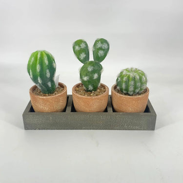 Supreme Cactus x3 w/Tray 8.5" GN - Silk
