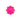 Spongelle Daisy Collection Spongette Bulgarian Rose 1.75Oz - Bath & Body Bath & Body