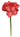 Select Amaryllis Spray Red -
