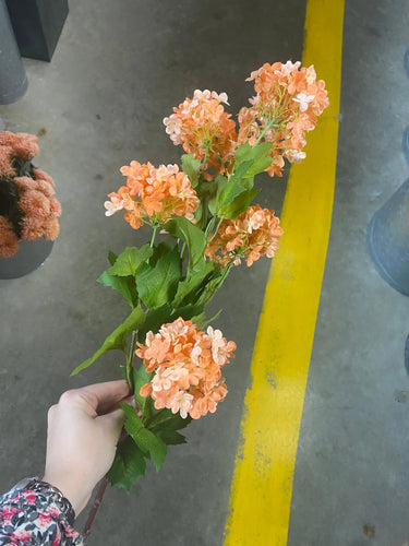 Direct Export Snowball Hydrangea Spray Coral - Uncategorized Silk