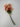 Le Fleur Cluster Mini Flower Bundle (x3) Coral 18" - Artificial Flowering Plants Silk